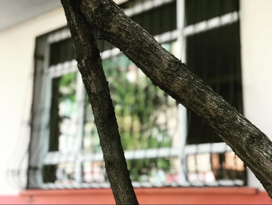 Burakcan Demir Doğrama atölyesinde projeye özel metal imalat